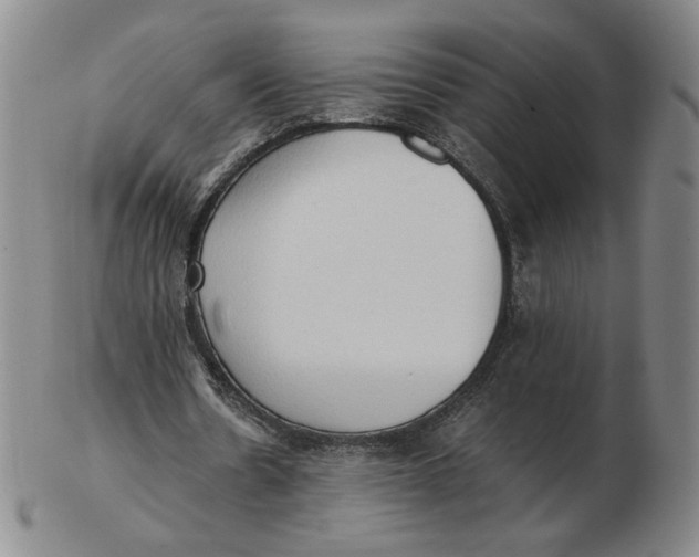 X0000103130530200809121734