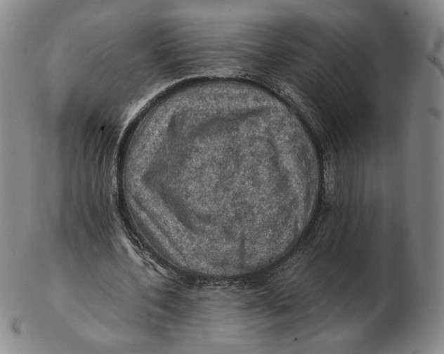 X0000103130532200809121734
