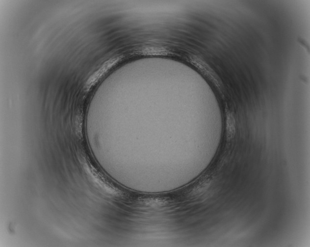 X0000103130533200809121734