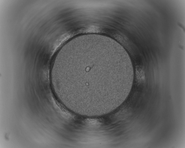 X0000103130534200809121734