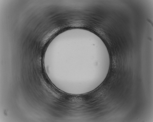 X0000103130535200809121734