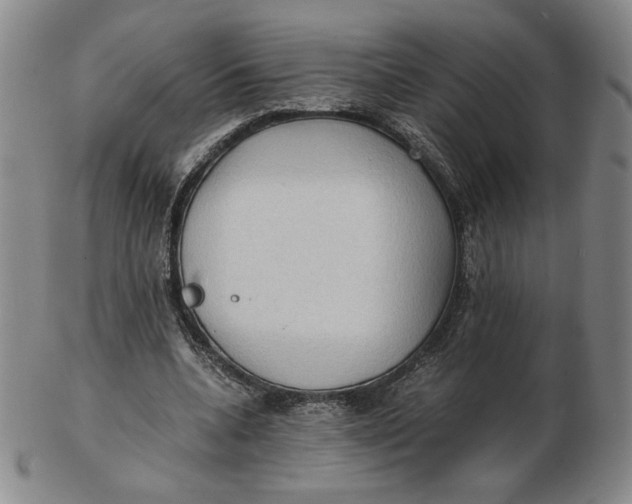X0000103130536200809121734