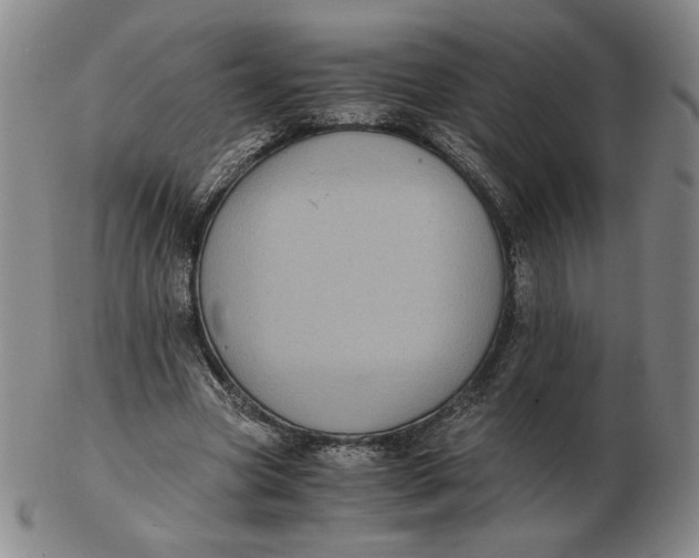 X0000103130537200809121734