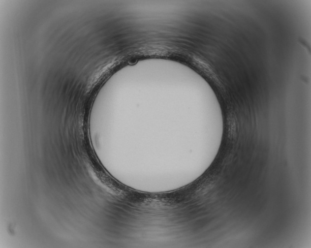 X0000103130538200809121734
