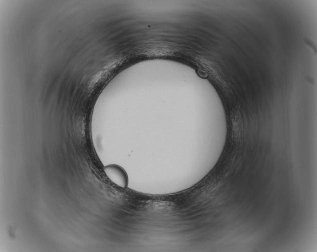 X0000103130539200809121734