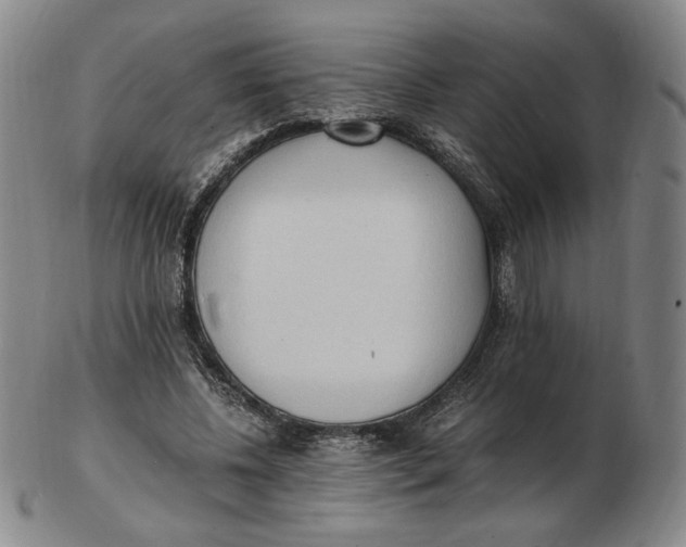 X0000103130540200809121734