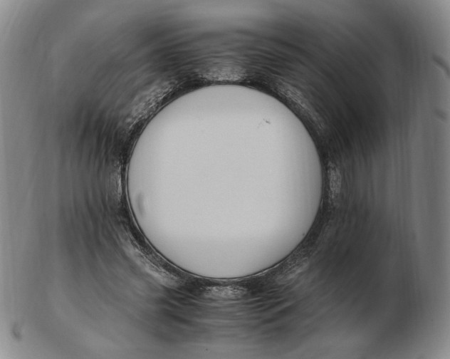 X0000103130541200809121734