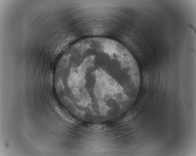 X0000103130542200809121734