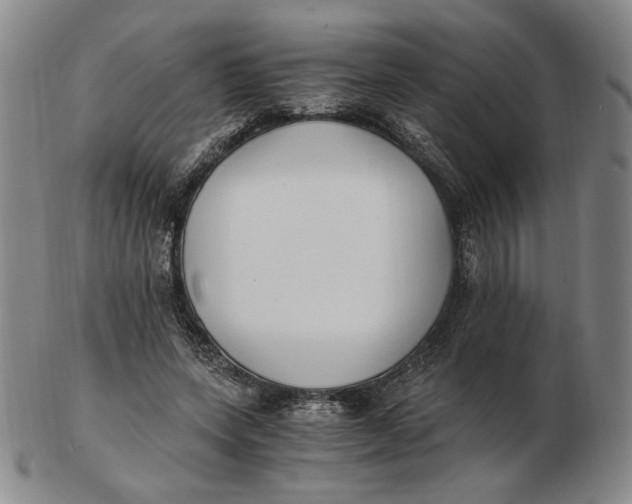 X0000103130543200809121734