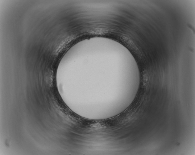 X0000103130544200809121734