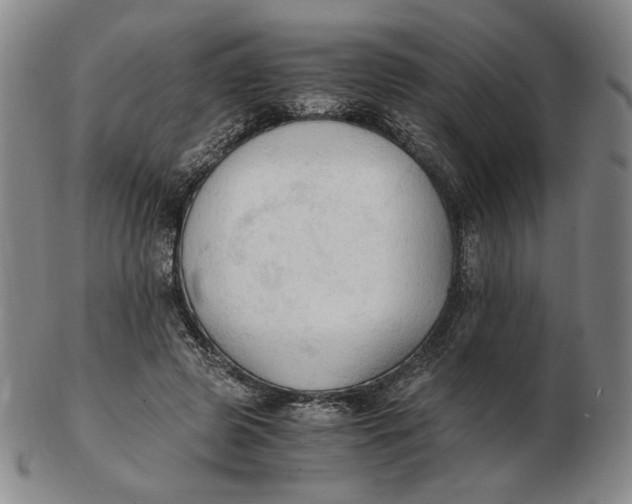 X0000103130545200809121734