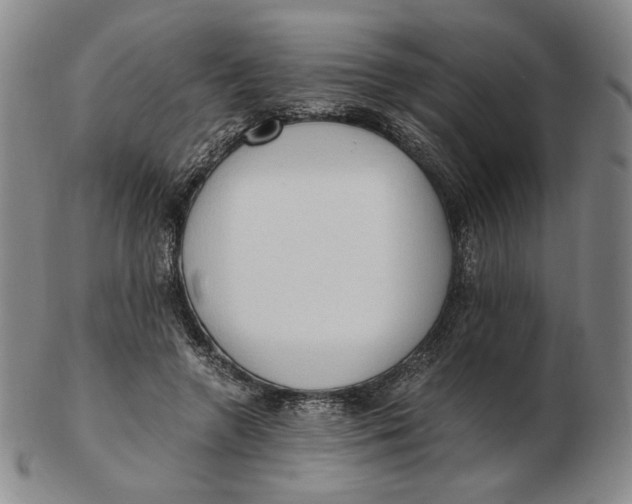 X0000103130546200809121734