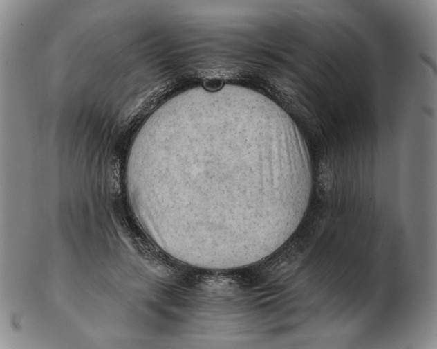 X0000103130547200809121734