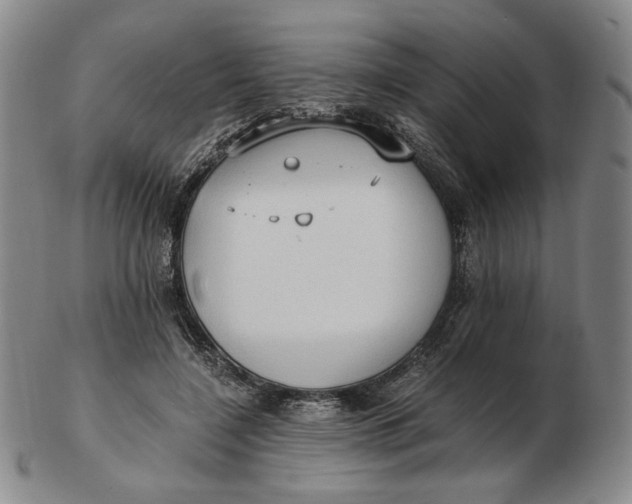 X0000103130548200809121734