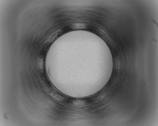 X0000103130549200809121734