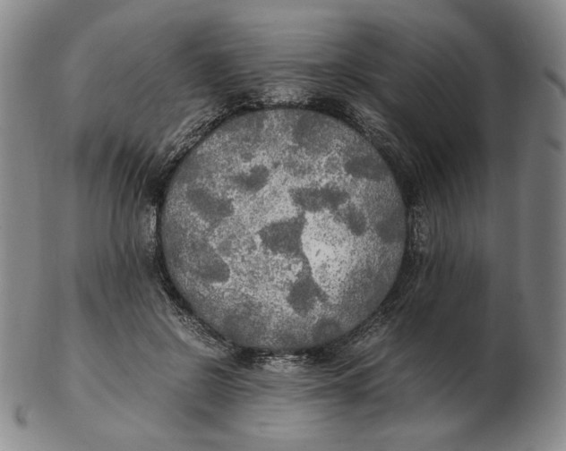 X0000103130550200809121734