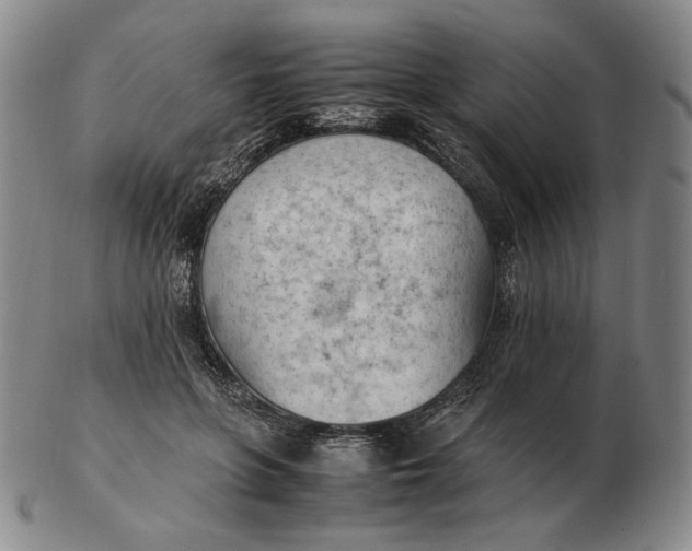 X0000103130551200809121734