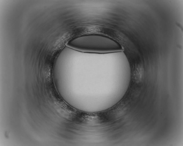 X0000103130552200809121734