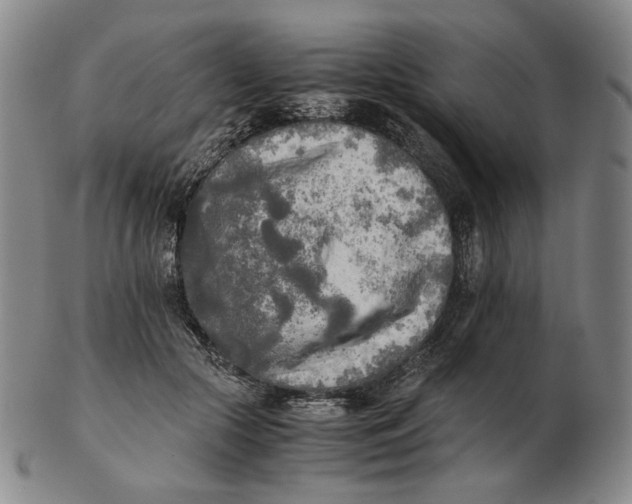 X0000103130553200809121734