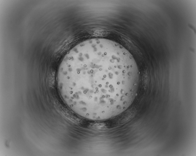 X0000103130554200809121734