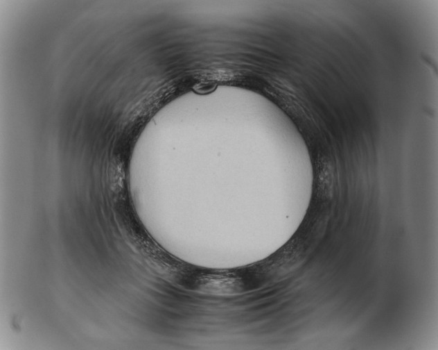 X0000103130555200809121734