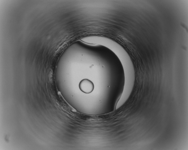 X0000103130556200809121734