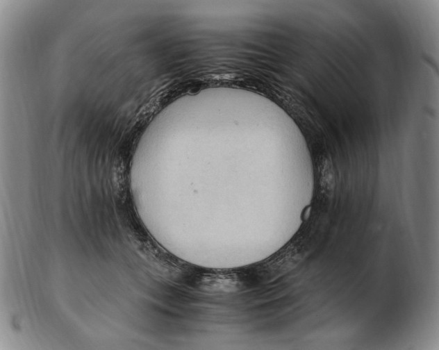 X0000103130559200809121734
