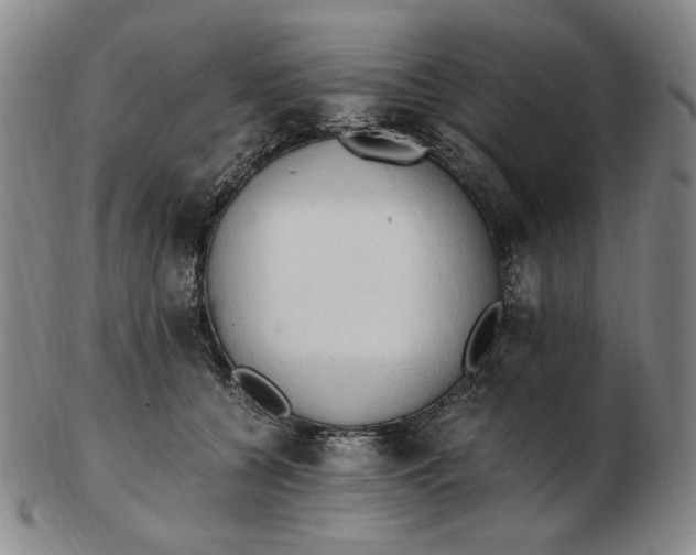 X0000103130560200809121734