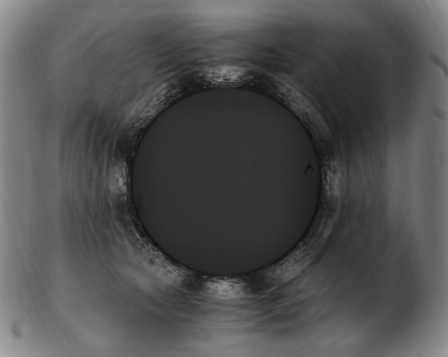 X0000103130561200809121734
