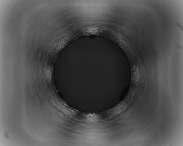 X0000103130562200809121734