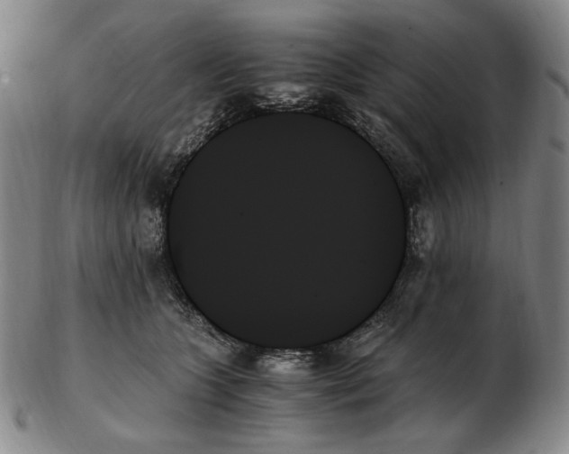 X0000103130563200809121734