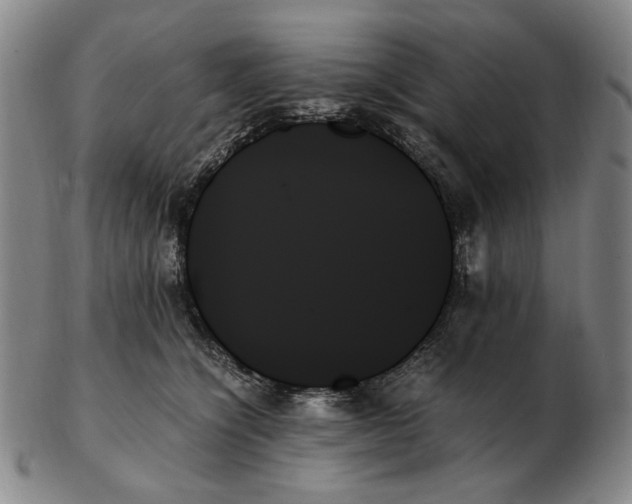 X0000103130564200809121734