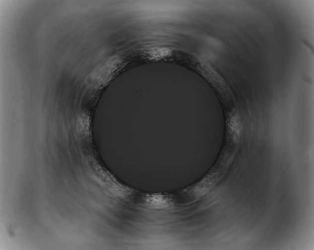 X0000103130565200809121734