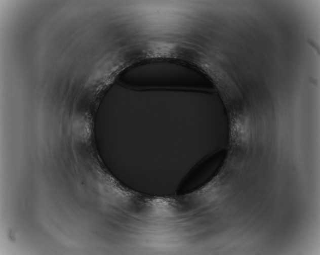X0000103130566200809121734