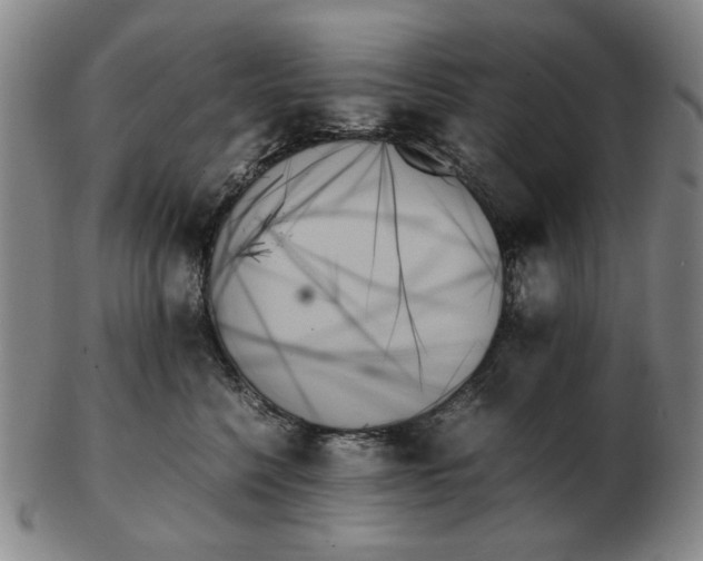 X0000103130568200809121734