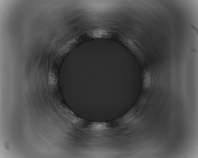 X0000103130569200809121734