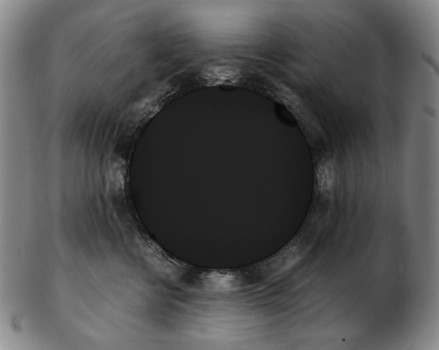 X0000103130570200809121734