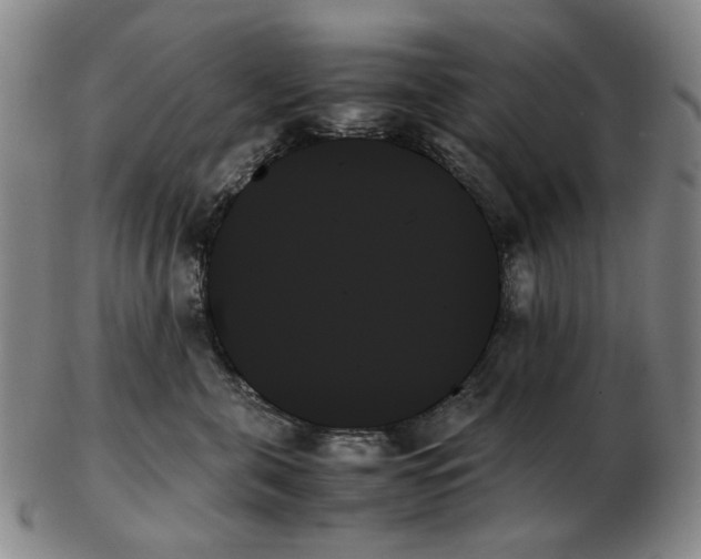 X0000103130571200809121734