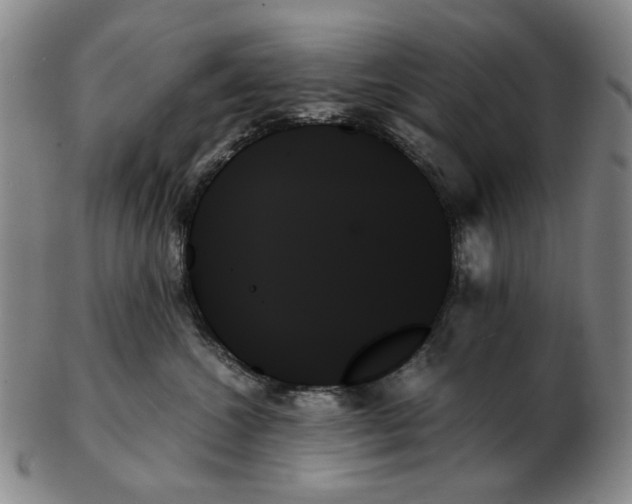 X0000103130572200809121734