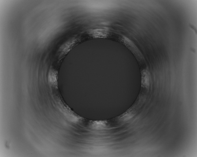 X0000103130573200809121734