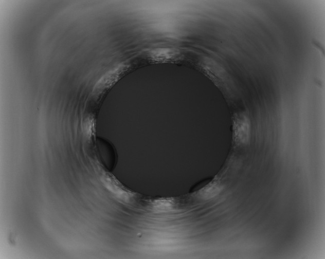 X0000103130574200809121734