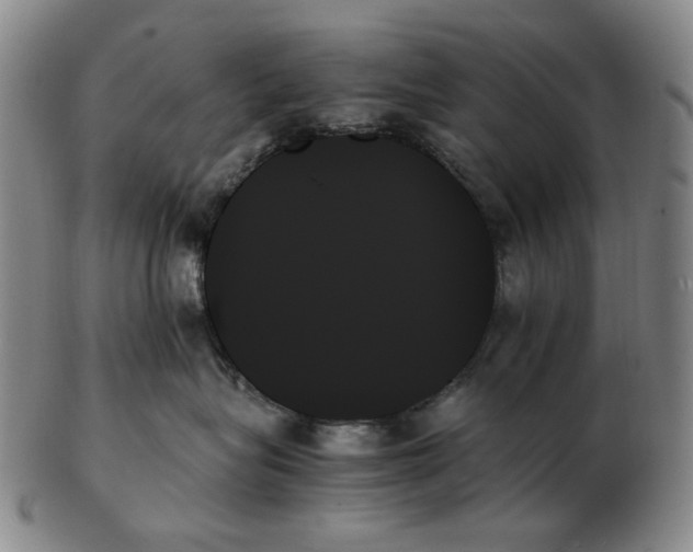 X0000103130575200809121734