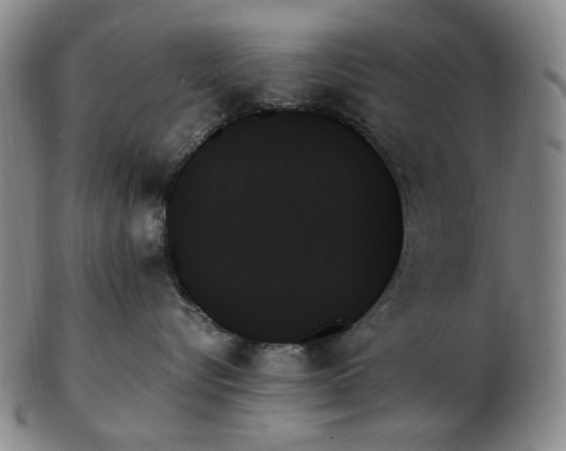X0000103130576200809121734