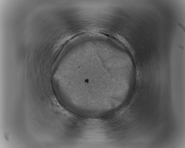 X0000103130577200809121734