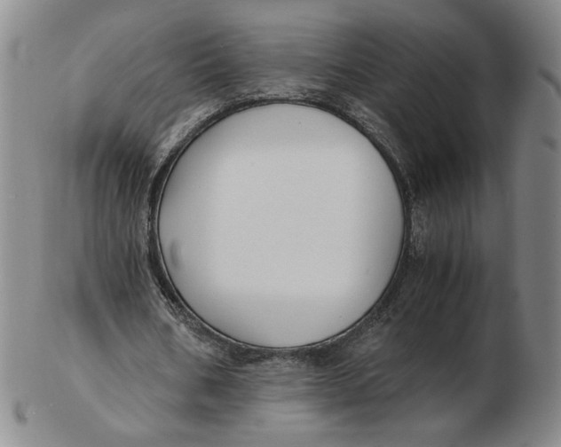 X0000103130578200809121734