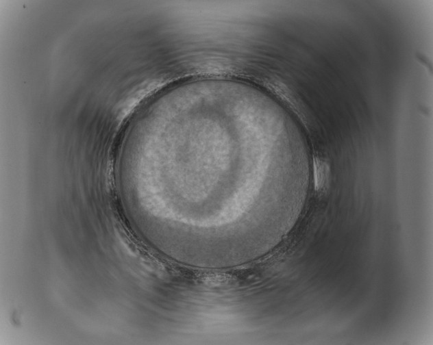 X0000103130579200809121734