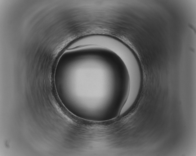 X0000103130581200809121734