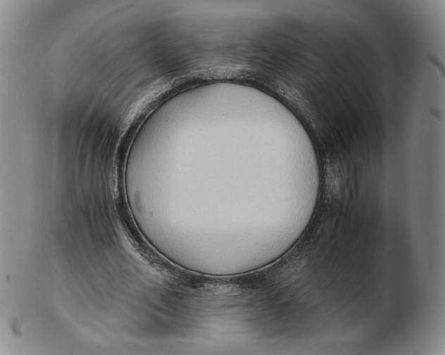 X0000103130582200809121734