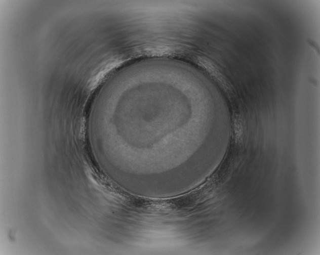 X0000103130583200809121734