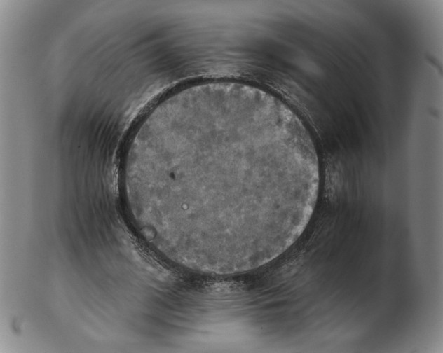X0000103130584200809121734